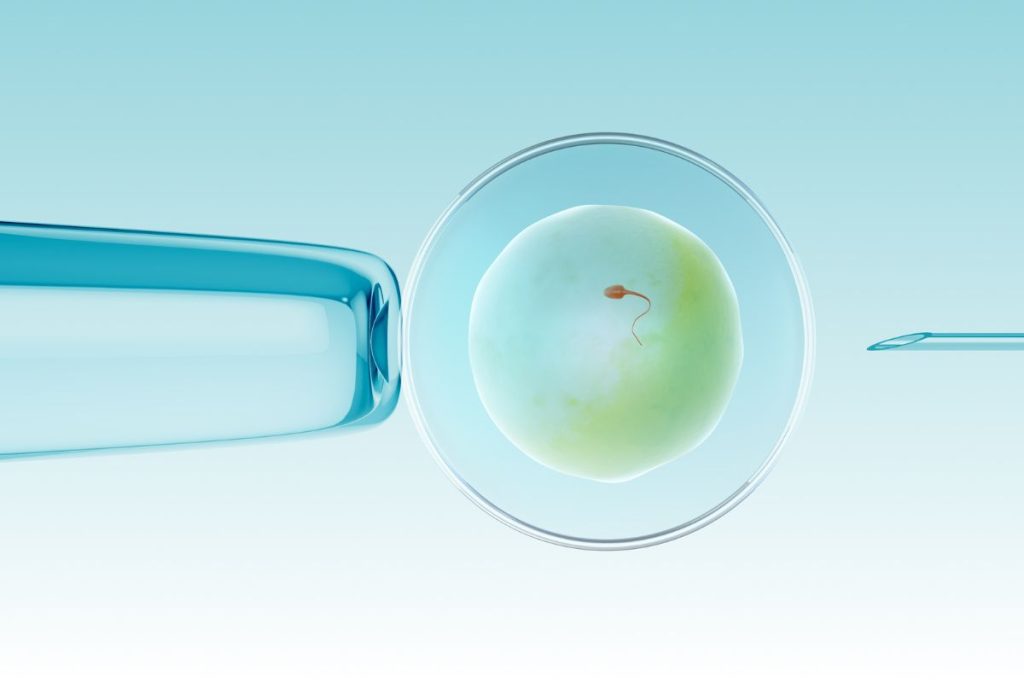 試管嬰兒(IVF)的成功率只有四成?中醫教你如何提高成功率